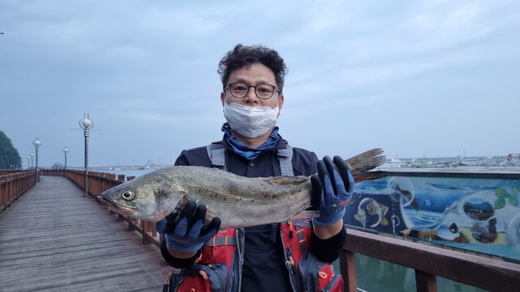  닥터신의 낚시 세상