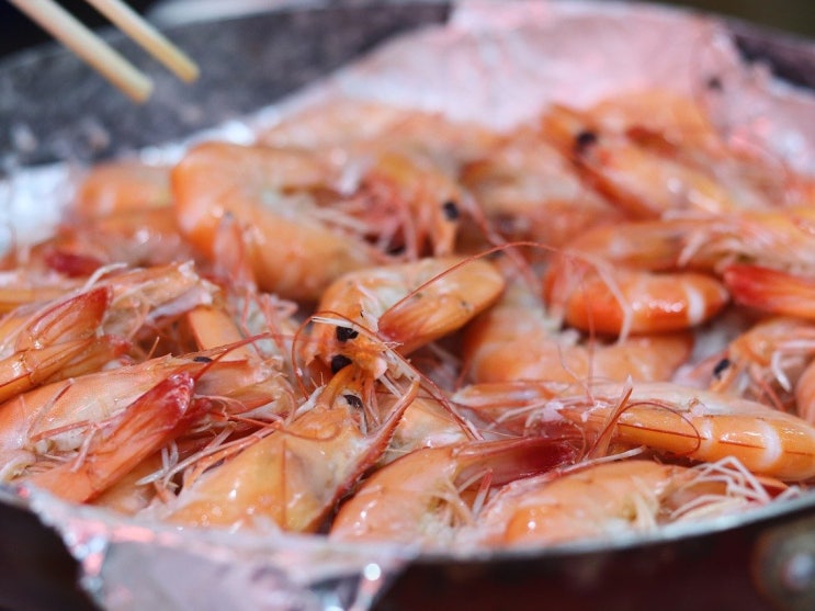  9월 제철 해산물, 가을 생선 회 횟감 종류 궁합 맞는 음식