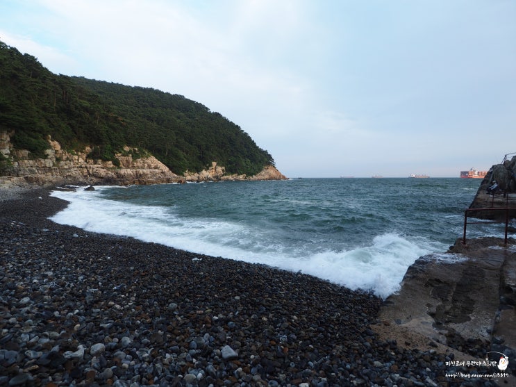  부산 영도 태종대 두번째 낚시포인트 유람선 선착장 탐사.(바다루어)