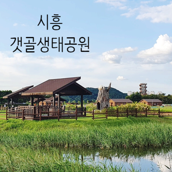 시흥 갯골생태공원 시흥근처 아이와 가기 좋은곳!