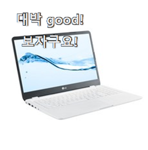  고민끝에 선택 lg그램2021 좋은제품 옆집도 추천했어요.