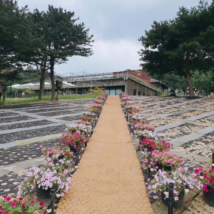  아이랑 가족나들이 가기 좋은 남양주 산들소리수목원