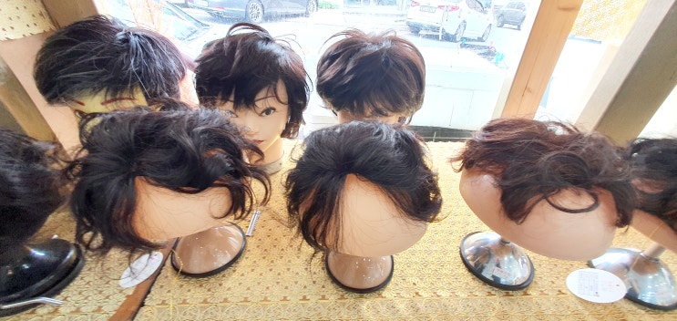  다양한 종류의 미용가발 최대 29% 도민할인 받고 이용하는 방법! (제주시 노형동 가발전문점)