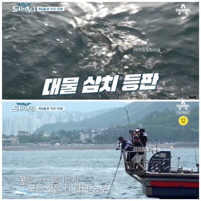 도시어부 시즌3 대삼치 촬영지 위치 경주 2PM 장우영 나이 키 학력 고향 프로필 가수 조정민 ....