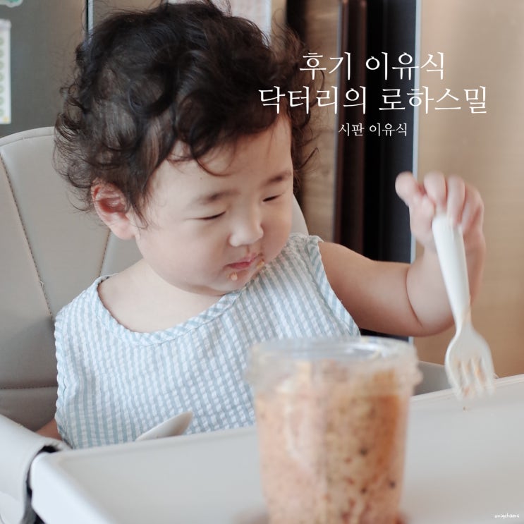  닥터리의 로하스밀 후기 이유식 유아식 전 괜찮아