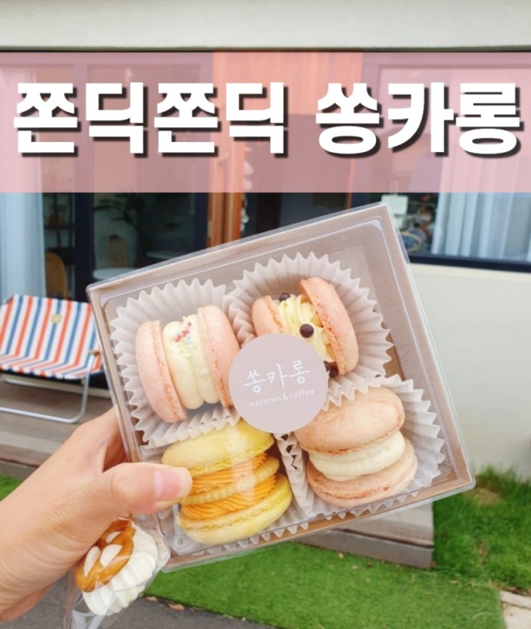  제주한달살기_내돈내산 쫀득쫀득 마카롱 쏭카롱