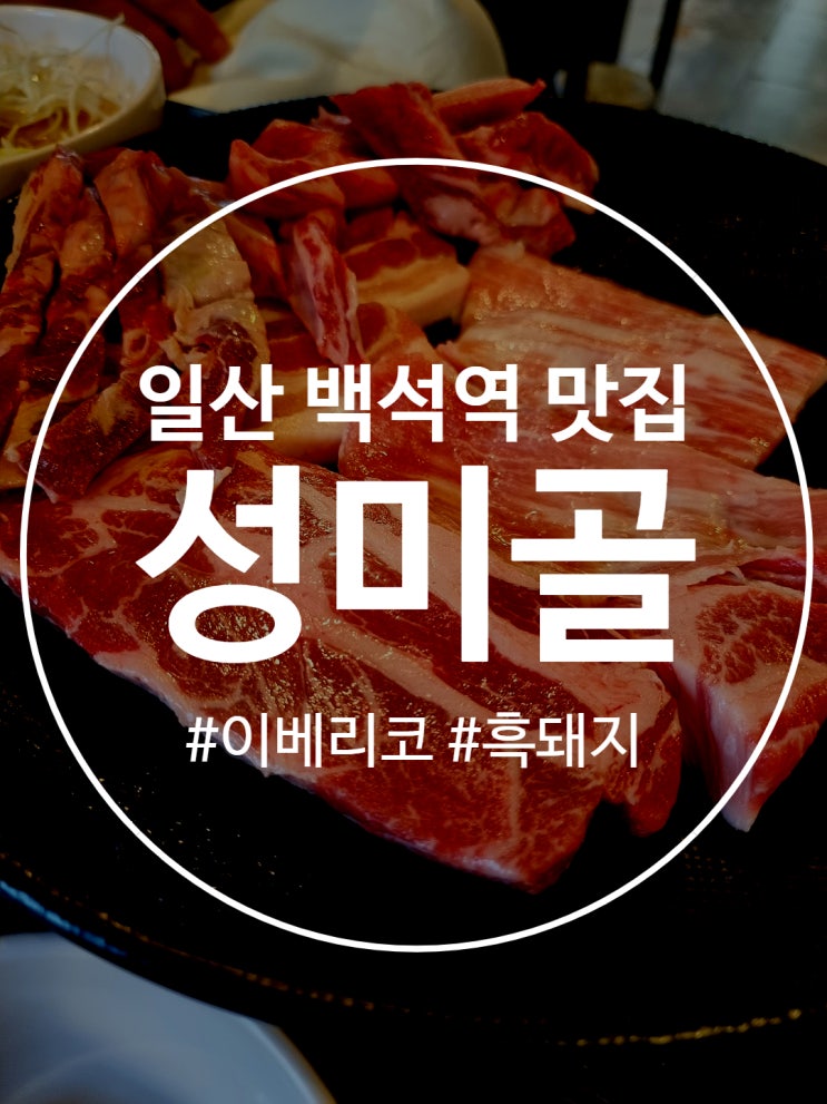 일산 백석역 맛집 이베리코 식당 성미골