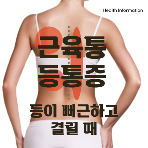  [Health Info]근육통 등통증_등이 뻐근하고 결릴 때