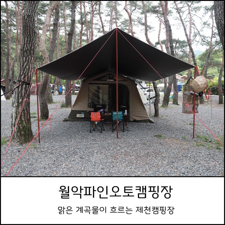  월악파인오토캠핑장 - 맑은 계곡물이 흐르는 제천캠핑장