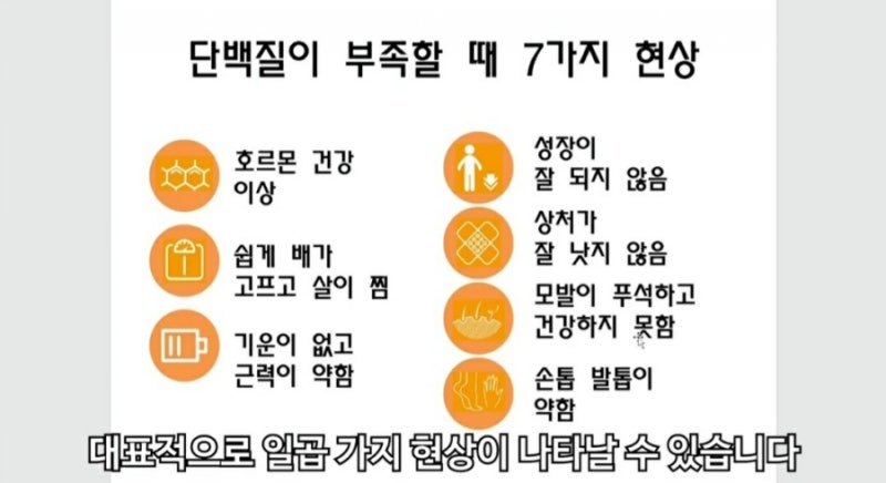 더 많은 단백질을 섭취하면 7가지 이상의 변화를 가져올 수 있습니다.