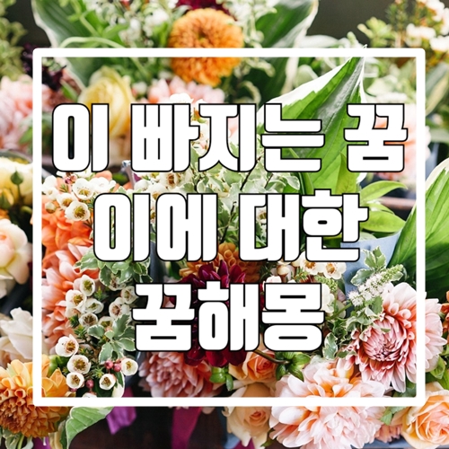  이 빠지는 꿈/ 이가 빠지고 다시 나는 꿈/ 이에 대한 꿈 해몽