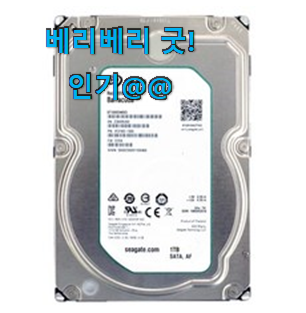 입소문난 hdd1tb 모두의 상품 추천 가슴이 막 뛰네요.