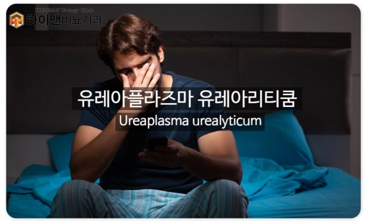  유레아플라즈마 유레아리티쿰 성병 치료해야 할까?