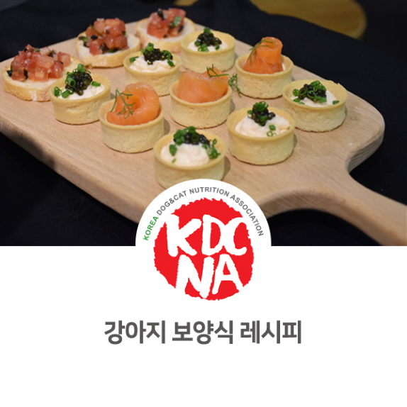  강아지 보양식 레시피 소개 [펫푸드수업/펫영양사/익산/천안/청주/제주/성남]_872