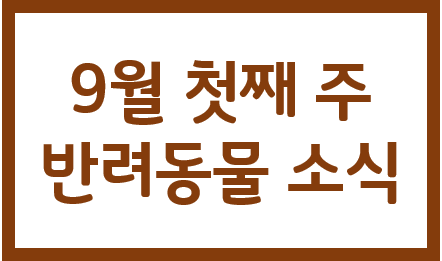  9월1주차_#"마리 앙투아네트처럼" 신세계 강아지 스위트룸 선봬 #은혜 갚은 유기견 #GS25 반려동물 장례 돕는다…기초수습키트 판매