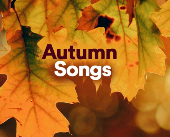  가을감성띵곡노래 10곡듣기 10 Autumn songs