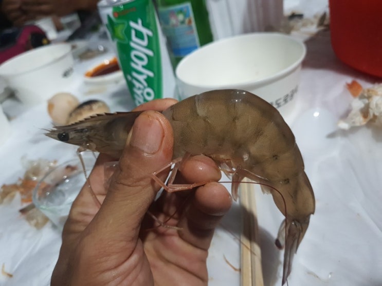 펴! 펴!