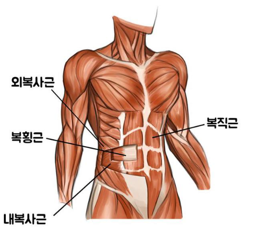 턴핏 이미지