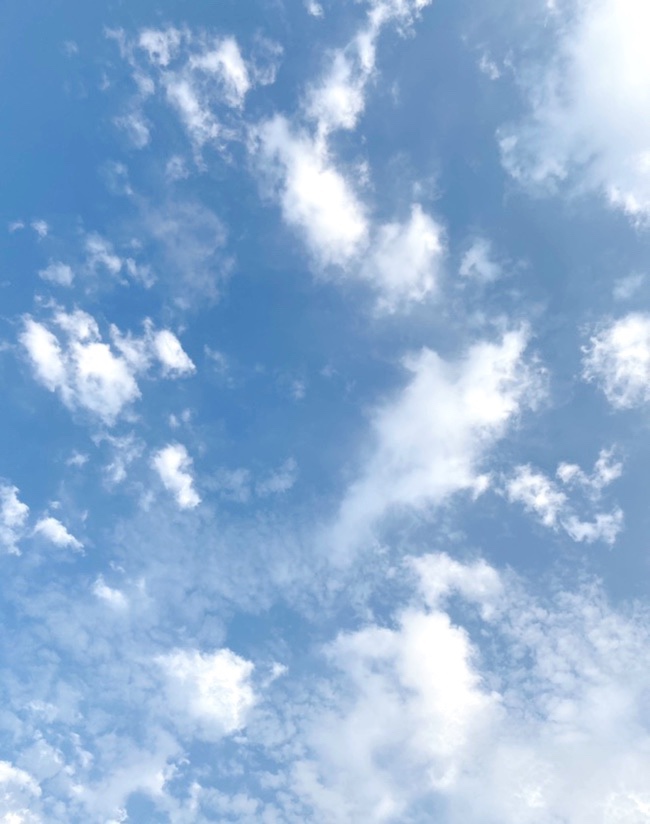 오늘 하늘, 솜사탕같아 9월의 맑은하루:매일매일 하늘사진