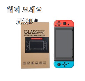  실속있는 닌텐도스위치케이스 최신 정보 단골집 사장님이 추천이에요.