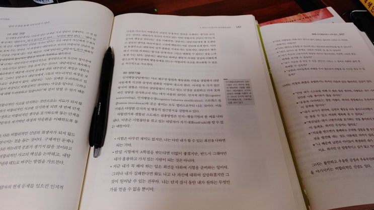  REBT 합리적 정서행동 치료 '정말 그래야만 하나요?'