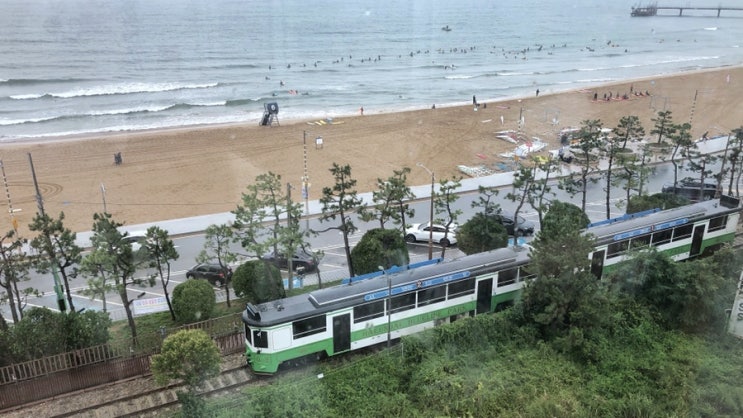  다솥맛집 송정본점 :: 해변열차가 보이는 오션뷰, 송정해변 솥밥맛집