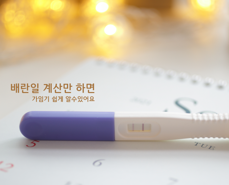  배란일계산기로 가임기계산 좀더 쉽게