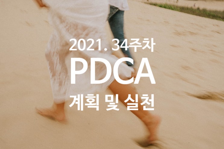  2021년 계획과 실천 34주차 점검