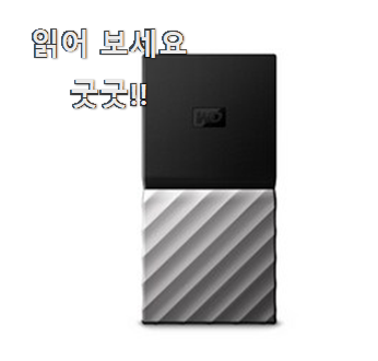  맘에드는 외장ssd 리뷰순위 참 만족스럽습니다.