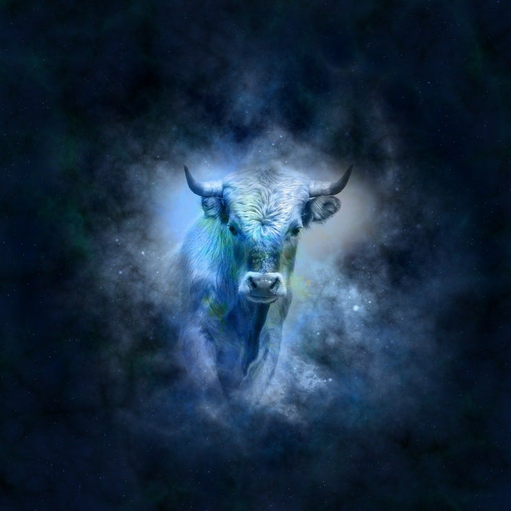  미국증시 9월 예상 bull ?, Tom lee 투자분석가