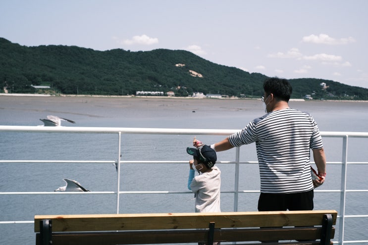  5세 아들과 당일 치기 여행으로 추천하는 수기 해수욕장, 서울 근교 갯벌 체험