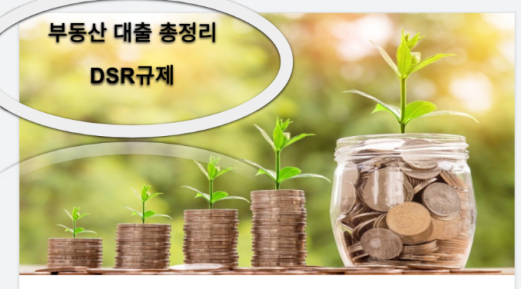  부동산 대출 규제 총정리 DSR (21년 8월)
