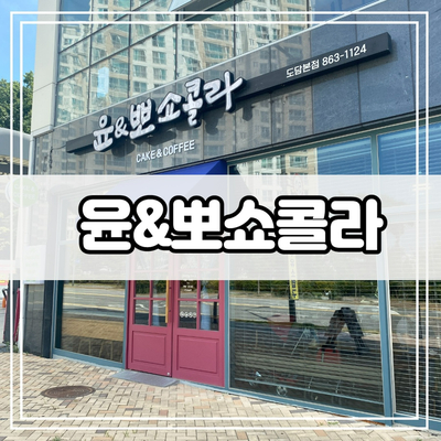  세종시 도담동 초코 케이크 맛집 윤앤뽀쇼콜라 - 세종 케이크 맛집