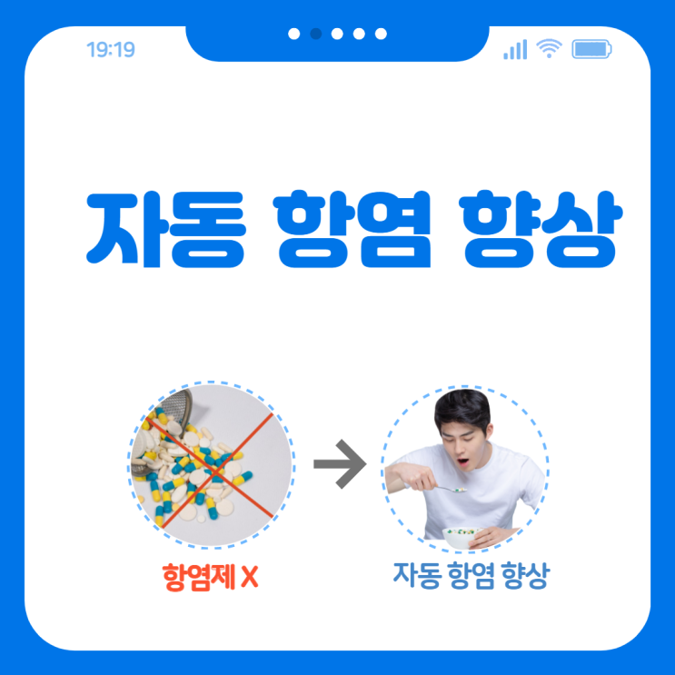  염증 해소로 가는 길, 항생제 먹으면 안 되는 이유