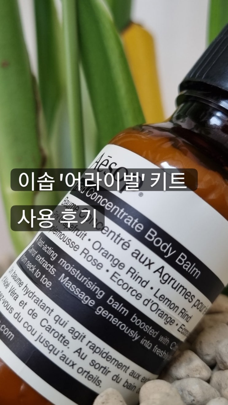  Aesop 어라이벌 키트로 이솝을 흠뻑 느껴봤습니다.