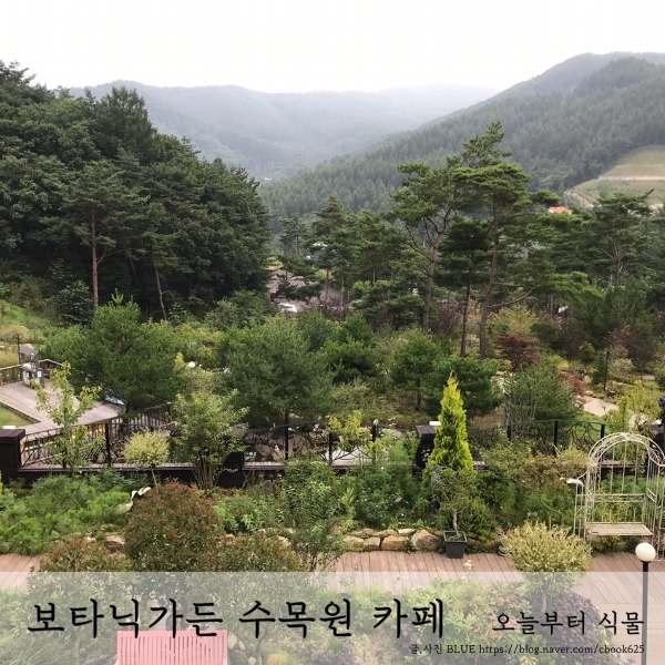  평창 보타닉가든 수목원 카페 입장료