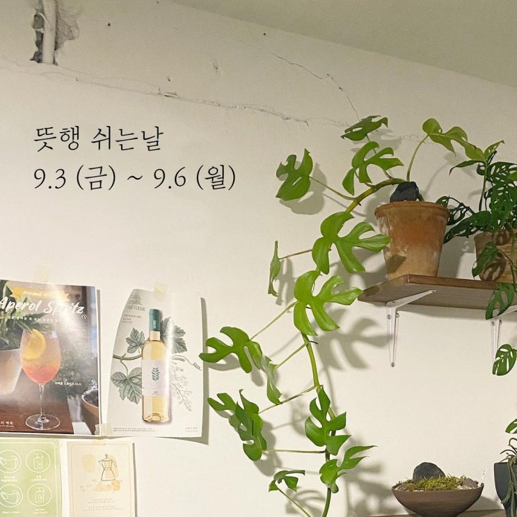  뜻밖의행복 휴가 공지