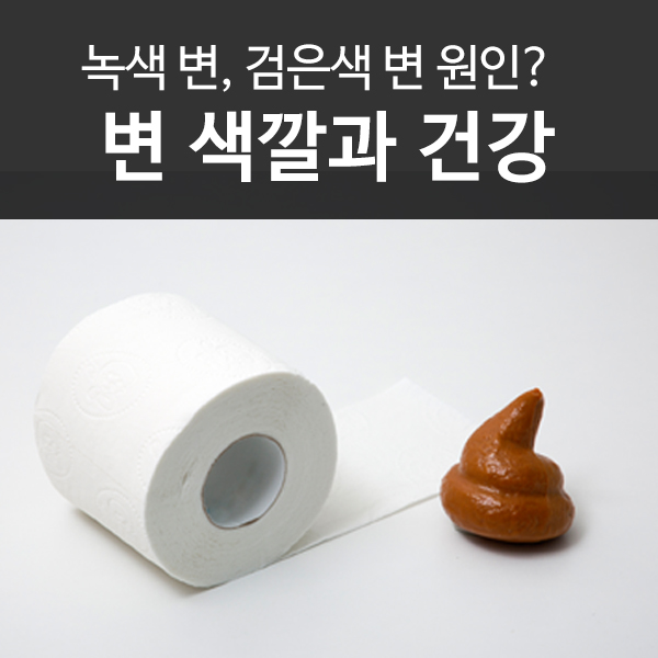  성인 녹색변, 검은색 변? 변 색깔로 보는 건강상태