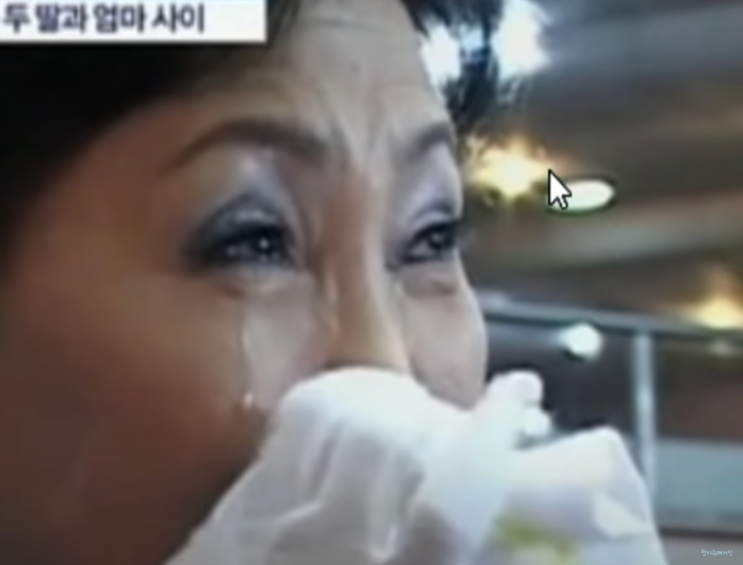 이수미 별세 남편 이혼 입양 딸 폐암 3기 투병을 하다 떠나게 된 안타까운 사연 이수미 별세 남편 이혼 입양 딸 폐암 3기 투병을 하다 떠나게 된 안타까운 사연