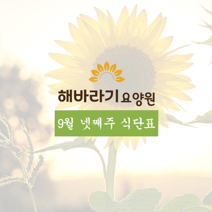 동명요양원추천)  해바라기요양원 2월 넷째주 식단표