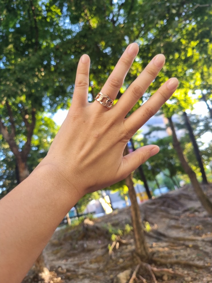  39세 9월기념, 꼬냑다이아 14K금반지 샀어요. 대전 종로귀금속백화점_대전 롯데백화점 맞은편