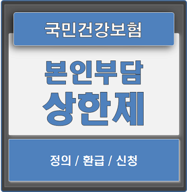  국민건강보험, 본인부담상한제 환급 및 신청 확인