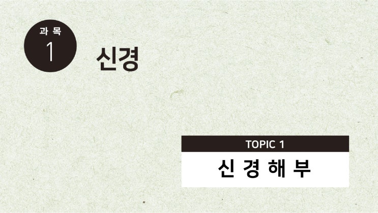 [유튜브] QBook 문제풀이: 신경해부 p3 1번 / 신경 / 하루주기리듬 / 생물학적 시계 / 하루주기조정자 / 솔기핵 / 꼬리핵 / 렌즈핵 / 청색반점 / 시신경교차상핵