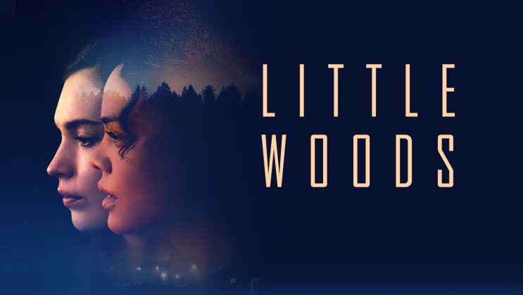 영화 '두 여자(Little Woods, 2018)' 리뷰 