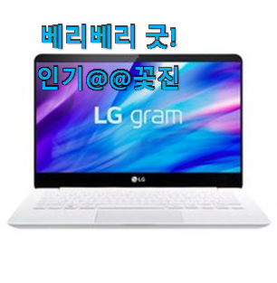 가성비좋은 LG전자그램16 인싸템 득템하세요 가성비좋은 LG전자그램16 인싸템 득템하세요