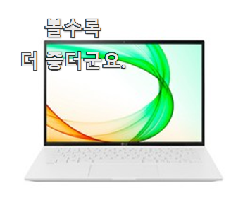  완전소중 엘지그램 리스트 추천모음 선물하기에도 좋은듯 해요