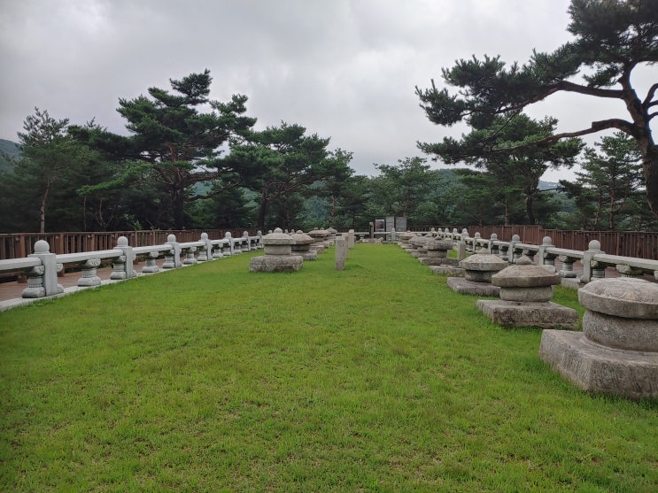 경상북도 성주여행 (세종대왕자 태실,태실문화관,생명문화공원) 경상북도 성주여행 (세종대왕자 태실,태실문화관,생명문화공원)