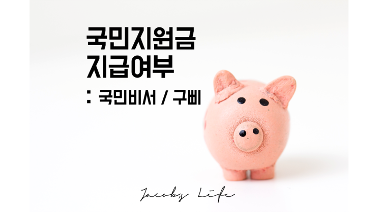  국민비서 구삐 : 국민지원금 지급대상 확인 여부 알아보자