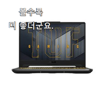  대박난 에이수스게이밍노트북 인싸템 순위정보 확실한 정보네요.