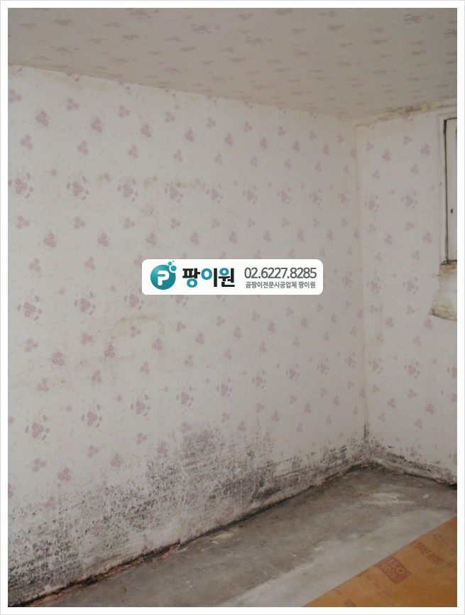  주택 반지하 곰팡이제거 퍼펙트 해결!